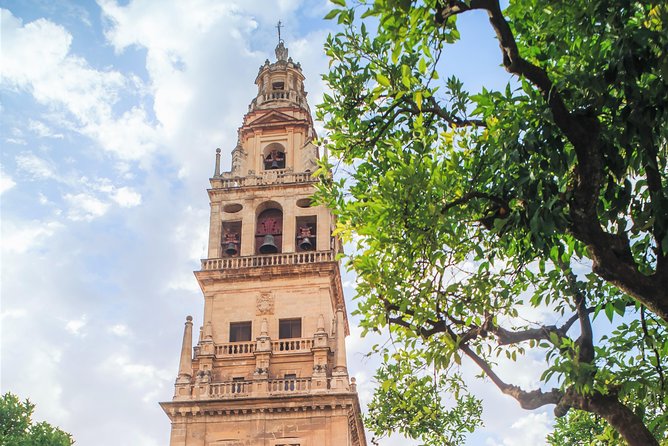 Guided tour of the Mosque with entrance included - How this fits into a Córdoba day