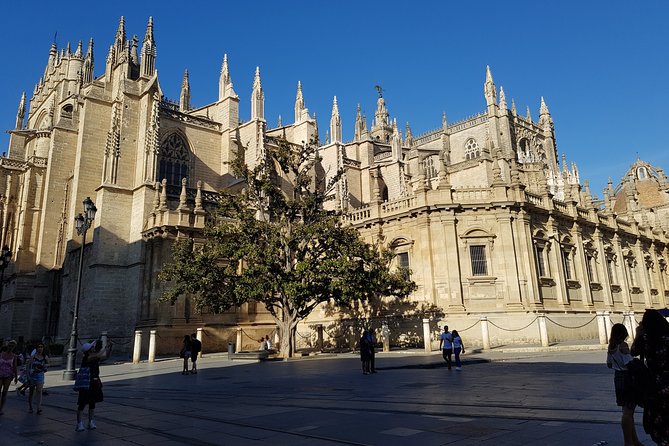 Guided Tour Sevilla Cathedral - Key points to know before booking