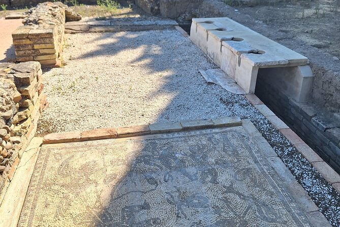 Guided Tour to Italica, City of Emperors - Neptune, Baths, and Roman Public Life