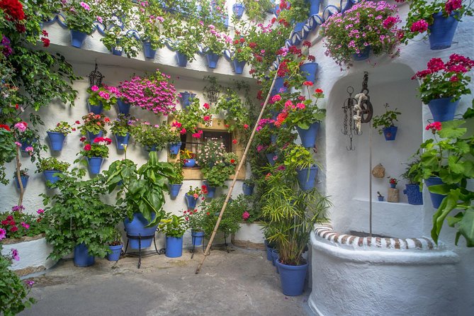 Guided Tour to the Popular Patios of Cordoba - Why Córdoba’s patios matter