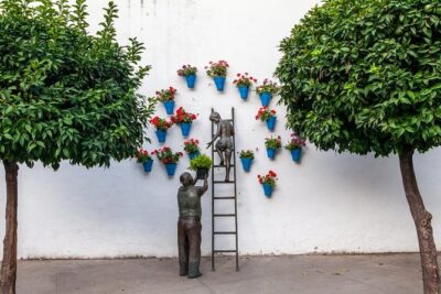 Guided Tour to the Popular Patios of Cordoba