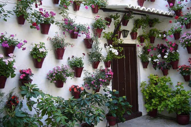Guided Tour to the Popular Patios of Cordoba - Is $18.10 a fair price?