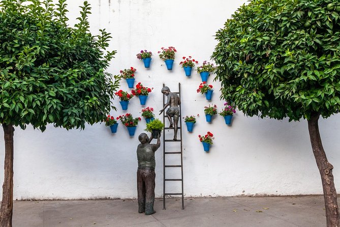 Guided Tour to the Popular Patios of Cordoba - What you see inside the traditional courtyards