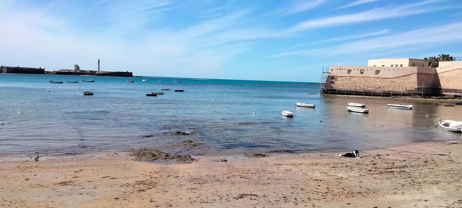 Guided visit on foot through Cádiz: stories from the hand of a local guide - A closer look at the cathedral finish