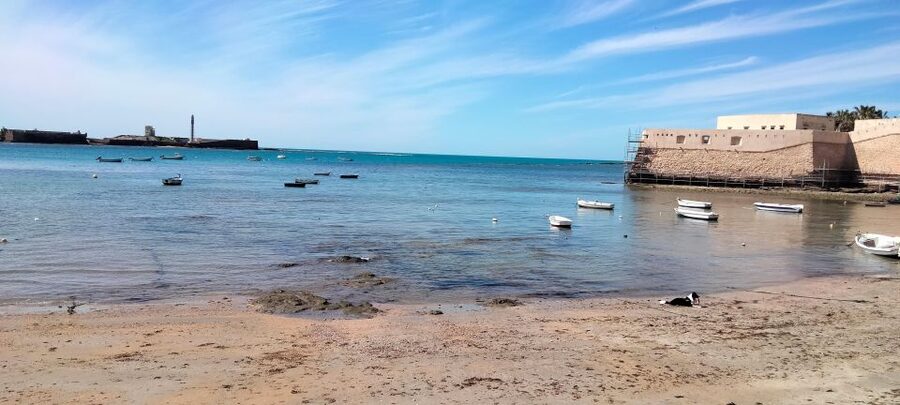 Guided visit on foot through Cádiz: stories from the hand of a local guide - Walking comfort and access