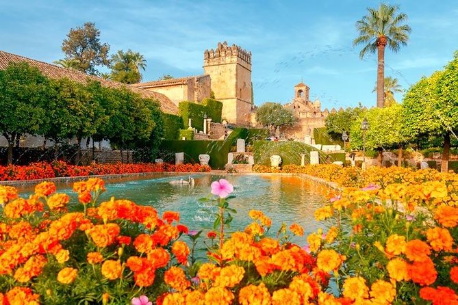 Guided visit to the Mosque-Cathedral, Jewish Quarter, Alcazar and Synagogue. Official guide - Guide quality and group size