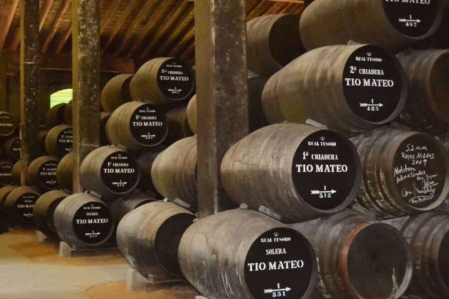 Half-Day Wine Tour in Andalusia in small group - Leaving Seville for the Andalusian wine country