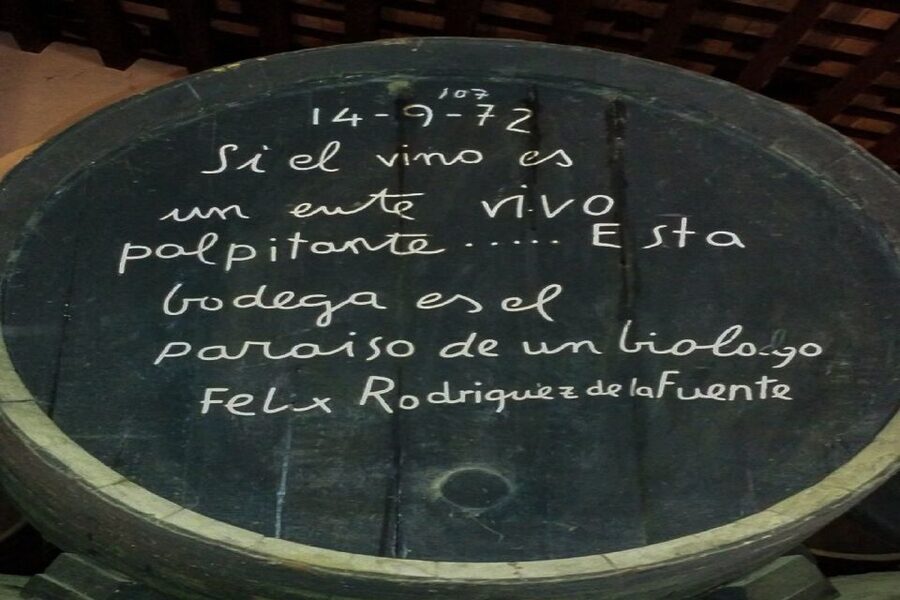 Half-Day Wine Tour in Andalusia in small group - Pickup points and the practical start