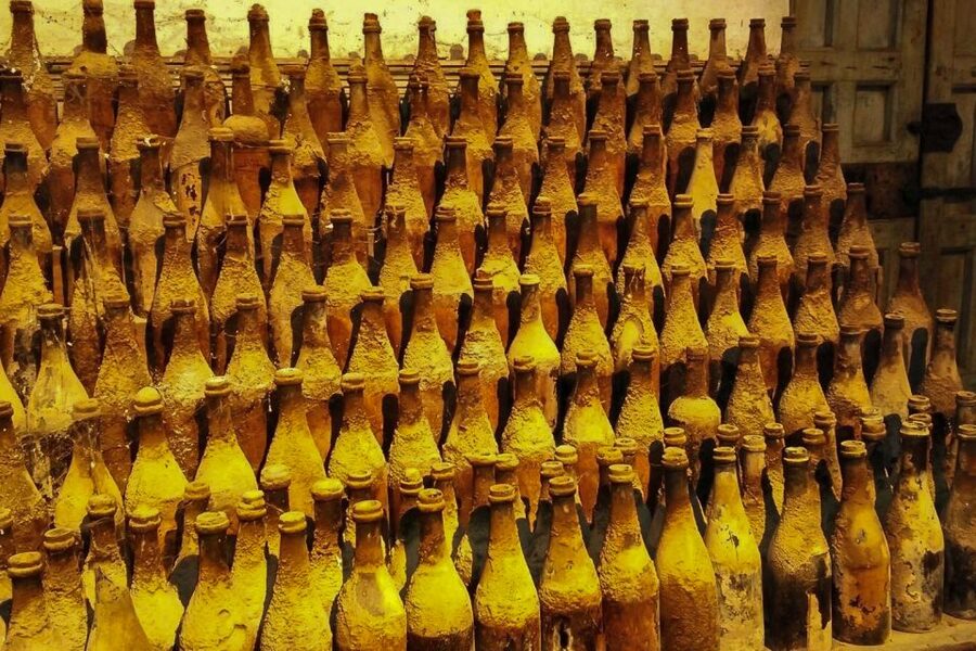 Half-Day Wine Tour in Andalusia in small group - What you may taste at the winery
