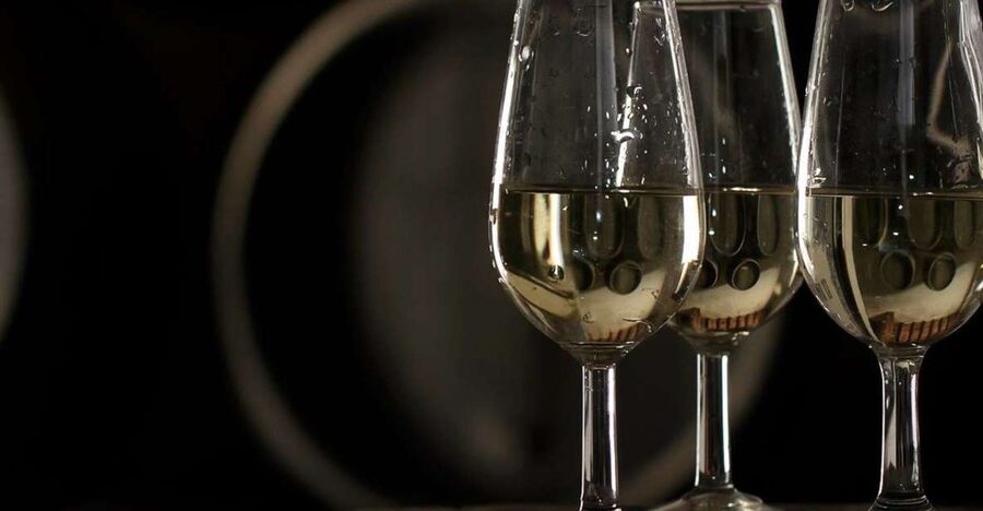 Half-Day Wine Tour in Andalusia in small group - Who will get the most from this tour?