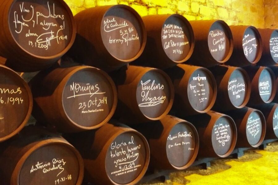 Half-Day Wine Tour in Andalusia in small group - The two-hour visit at Bodegas Andrade