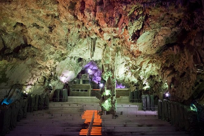 Historic Gibraltar Rock and St Michael's Cave Tour from Seville - Riding up the Rock to the macaques