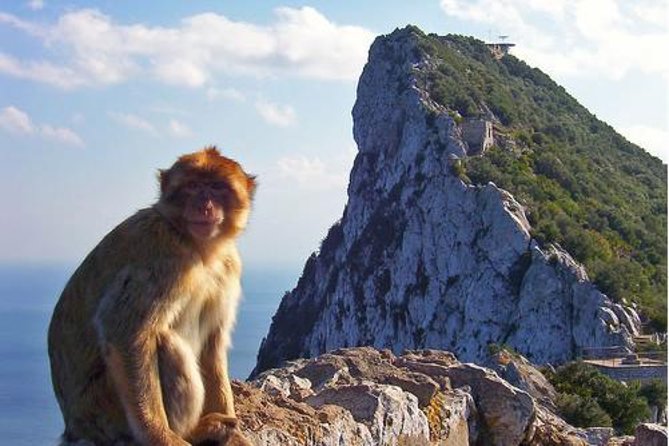 Historic Gibraltar Rock and St Michael's Cave Tour from Seville - How the timing affects the experience