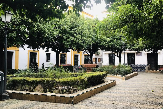 History of Women of Seville Private Tour - What the private format is really worth