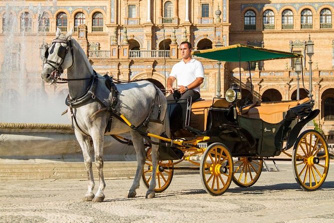 Horse and Buggy Ride in Seville with guide - C. Adriano and the Casco Antiguo meeting point