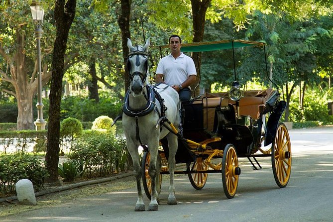 Horse and Buggy Ride in Seville with guide - Passing the Alcazar Royal Palace