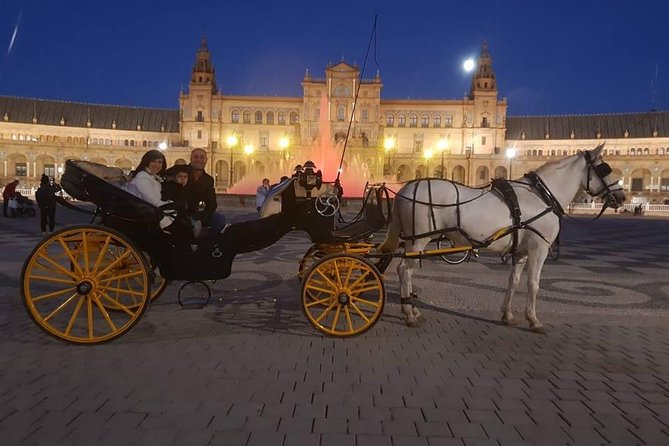 Horse and Buggy Ride in Seville with guide - Driver commentary and the private format