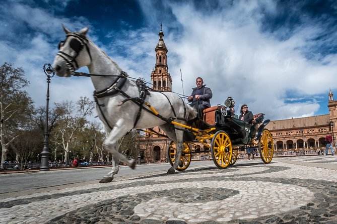 Horse and Carriage Sightseeing Tour in Seville - Boarding at Hotel Alfonso XIII