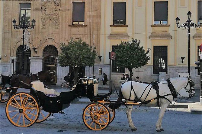 Horse-Drawn Carriage Ride through Seville - Price and value for a small group