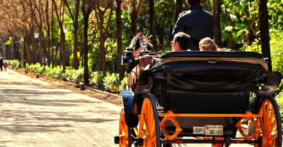Horse-Drawn Carriage Ride Through Seville - Spanish commentary and the guide question