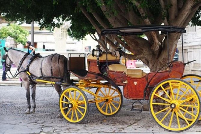 Horse-Drawn Carriage Ride Through Seville - San Telmo Palace and the Torre del Oro