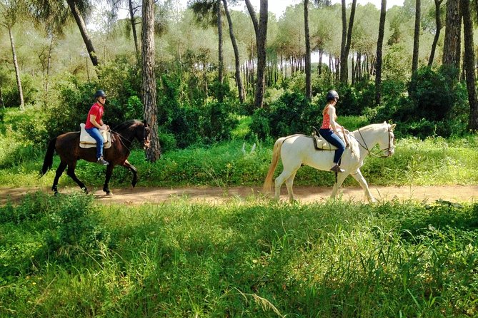 Horse Riding Excursion from Seville - Quick points to know