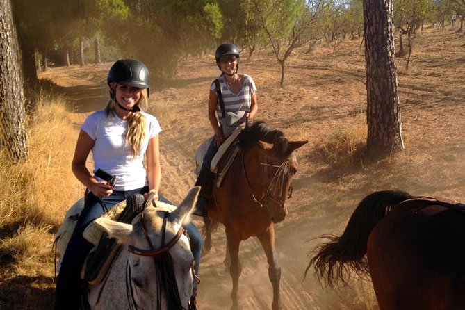 Horse Riding Excursion from Seville - Leaving Seville for the Andalusian countryside