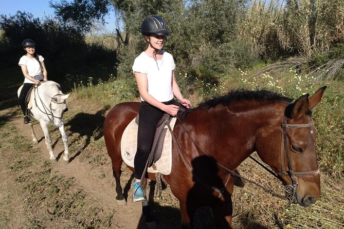 Horse Riding Excursion from Seville - The guides make the difference