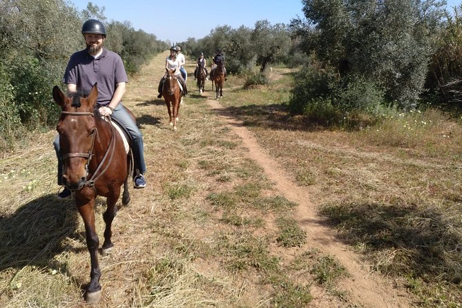 Horse Riding Excursion from Seville - Doñana and the rural setting