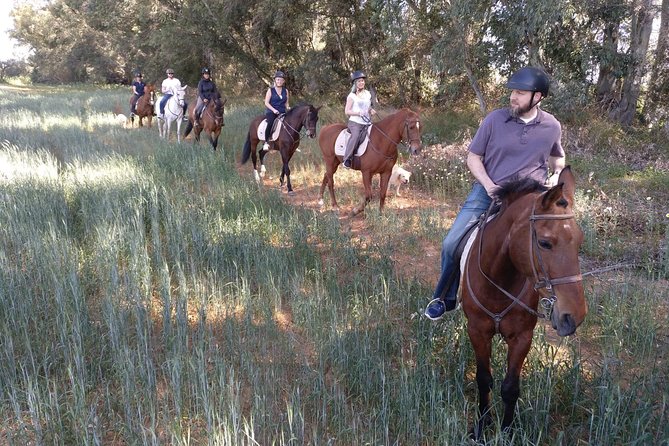 Horse Riding Excursion from Seville - How beginner-friendly is the two-hour ride?