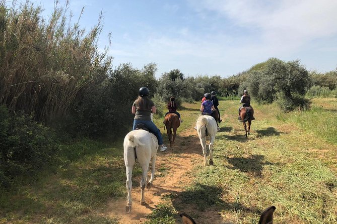 Horse Riding Excursion from Seville - What the $166.99 price really buys