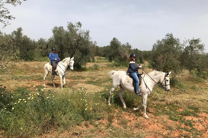 Horse Riding Excursion from Seville - Practical preparation before you go