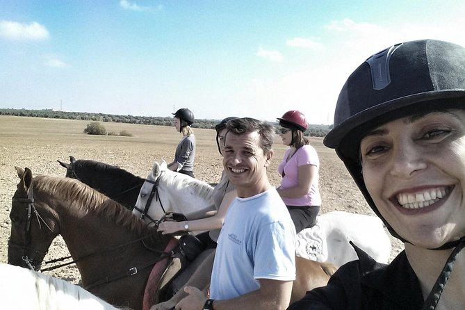 Horse Riding Excursion from Seville - Meeting the horses at the family stable