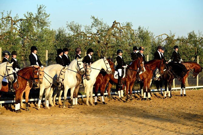 Horseback riding around Doñana National Park - Leaving Seville for the El Acebuche stables