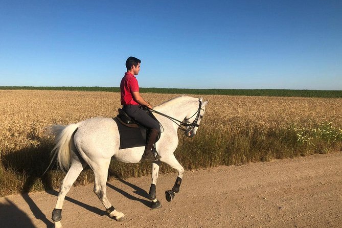 Horseback riding around Doñana National Park - Is $102.80 good value?