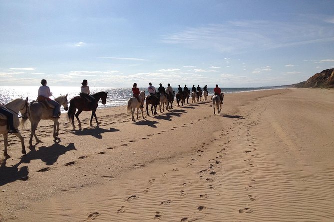 Horseback riding tour of Doñana and visit of El Rocio - Timing, weather, and booking details