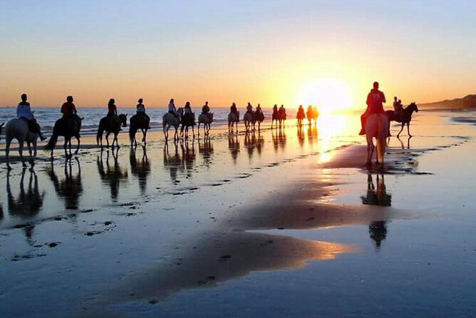 Horseback riding tour of Doñana and visit of El Rocio - Matalascañas and the coastal setting