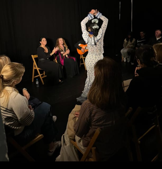 Intimate Flamenco: Exclusive Experience in Sevilla - Following flamenco through a one-hour show