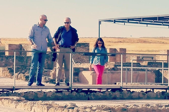 Italica 2-Hour Private Guided Tour - Trajan, Hadrian, and the Story Behind the Stones