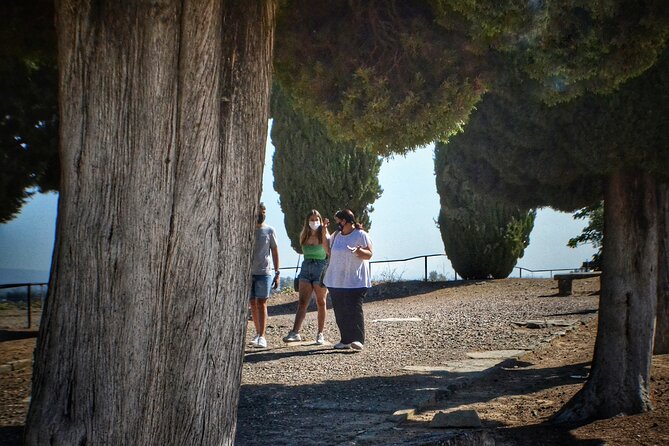 Italica 2-Hour Private Guided Tour - What the Private Format Really Adds