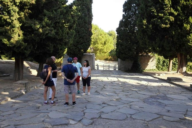 Italica 2-Hour Private Guided Tour - Getting to the Meeting Point