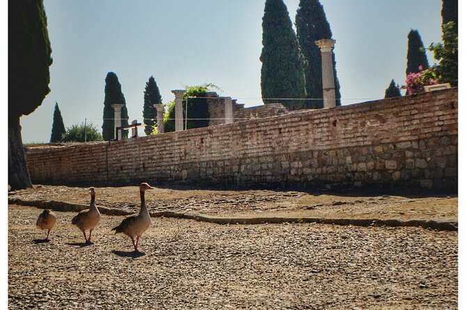 Italica 2-Hour Private Guided Tour - Weather, Walking, and Who Will Enjoy It