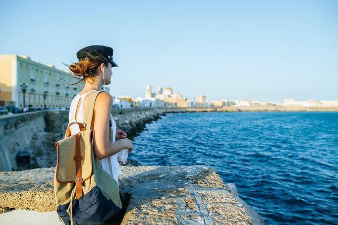 Jerez and Cadiz with Horse Ballet and Sherry Tasting from Seville - The guide can make or break the long rides