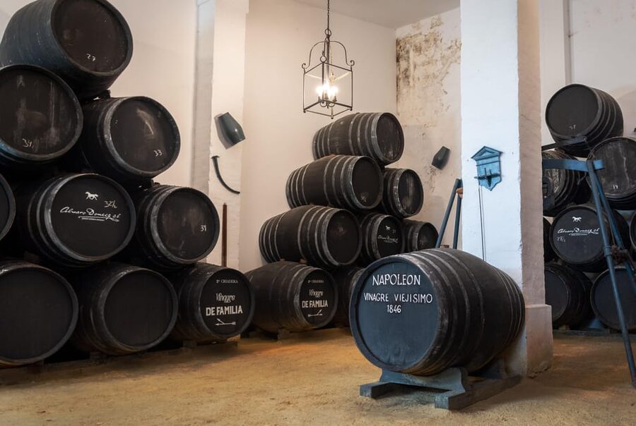 Jerez: Bodegas Álvaro Domecq Guided Tour with Wine Tasting - Key points at a glance