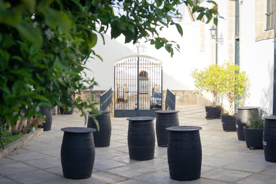 Jerez: Bodegas Álvaro Domecq Guided Tour with Wine Tasting - Why this Jerez bodega is worth your time