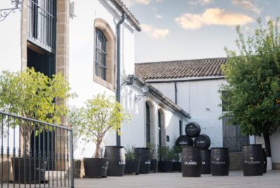Bodegas Álvaro Domecq Guided Tour with Wine Tasting