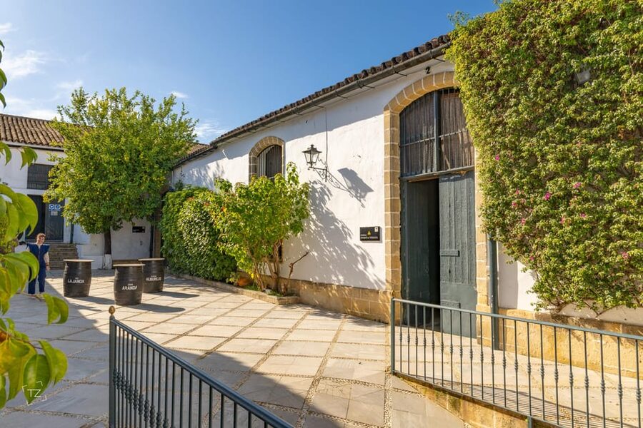 Jerez: Bodegas Álvaro Domecq Guided Tour with Wine Tasting - The optional Iberian food addition