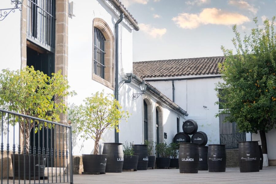 Jerez: Bodegas Álvaro Domecq Guided Tour with Wine Tasting - Finding the meeting point on Calle San Luis