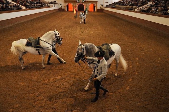 Jerez & Cadiz Winery with Tasting & Opt Horse Show from Seville - The Royal Andalusian School horse performance
