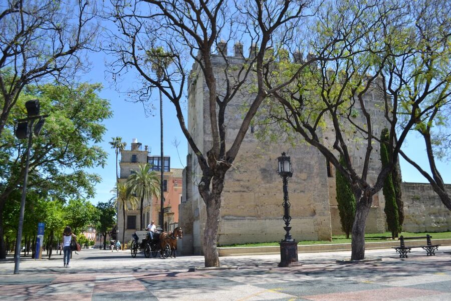 Jerez de la Frontera: 1.5-Hour Walking Tour with a Guide - Starting outside the Municipal Tourist Office